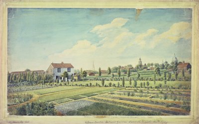 William Curtis