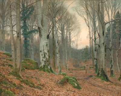 A Welsh Wood in Winter by James Thomas Watts
