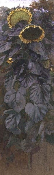 Sunflowers by James Valentine Jelley