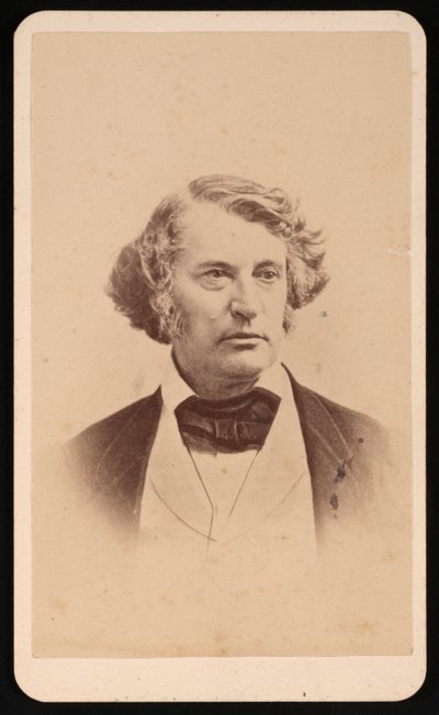 Portrait of Charles Sumner 1811-1874, Before 1874 by James Wallace Black