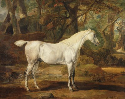 A Grey Arabian Stallion, the Property of Sir Watkin Williams-Wynn, c.1815-20 by James Ward