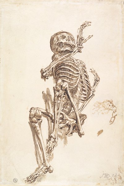 A Human Skeleton (recto) by James Ward