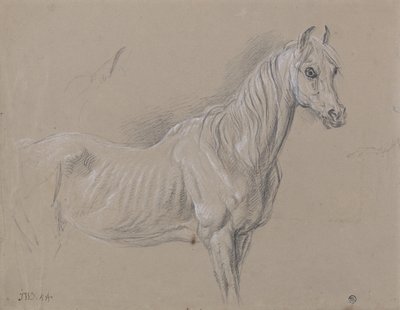 A Mare by James Ward