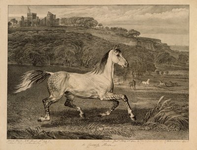 Cossack Horse, from Celebrated Horses, a set of fourteen racing prints published by the artist, 1823-24 by James Ward