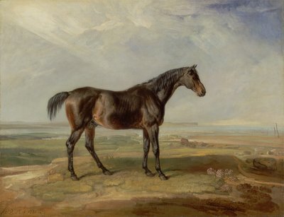Dr. Syntax, a Bay Racehorse, Standing in a Coastal Landscape by James Ward