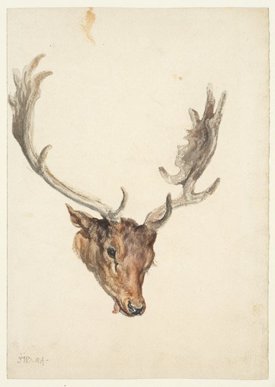 Head of a Stag by James Ward