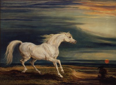Marengo, the Arab charger, ridden by Napoleon Bonaparte at the Battle of Waterloo by James Ward