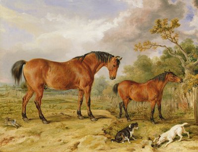 Portrait of Reformer, Blucher, Tory and Crib, the Property of Rowland Alston, Esq. by James Ward