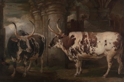 Portraits of Two Extraordinary Oxen, the Property of the Earl of Powis by James Ward