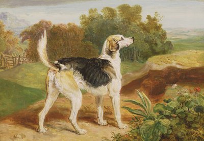 Ravager, One of the Lambton Hounds by James Ward