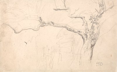 Tree Study by James Ward