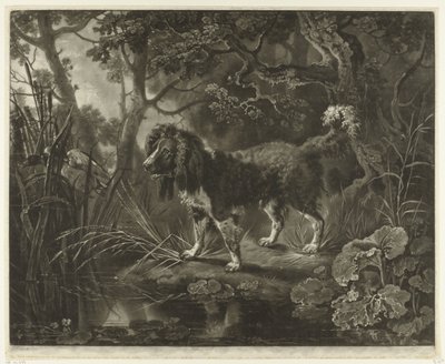 Spaniel by the Waterside Watching a Flying Duck by James Watson (prentmaker)
