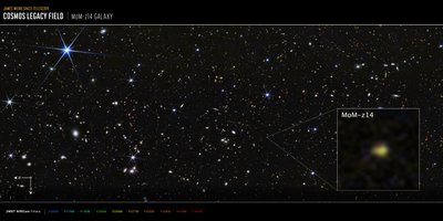 COSMOS Field MoM-z14 Galaxy by James Webb Space Telescope (NASA)
