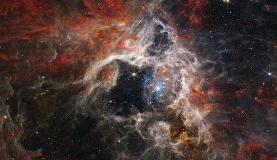 Tarantula Nebula by James Webb Space Telescope (NASA)