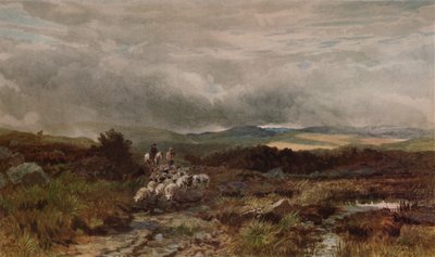 Mountain Road, Capel Curig, North Wales by James William Whitaker
