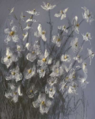 Dreamy White Flowers by James Zamora
