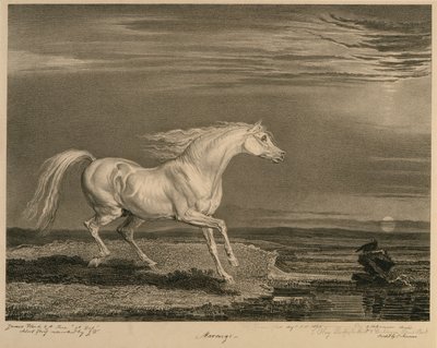 Marengo, from Celebrated Horses, a set of fourteen racing prints published by the artist, 1823-24 by James after Ward