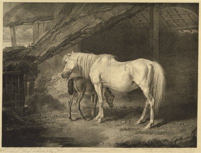 Primrose and Foal, from Celebrated Horses, a set of fourteen racing prints published by the artist, 1823-24 by James after Ward