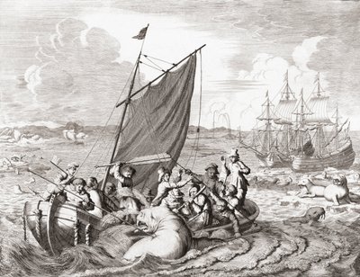Walrus hunters in the 16th century (engraving) by Jan (after) Luyken