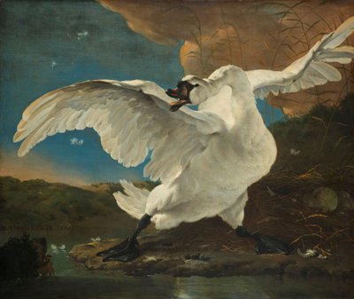 The Threatened Swan (Interpreted later as an Allegory on Johan de Witt) by Jan Asselijn
