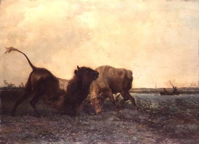 Bulls Fighting by Jan Bedys Tom