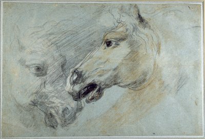 Two studies of a horse