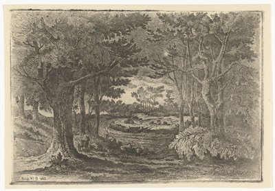 Forest Landscape with Five Sheep by Jan Bos Wz.
