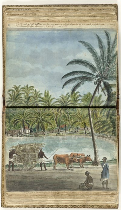 Ceylon View with an Ox Cart, a Squatting Sinhalese, and a Black Bailiff by Jan Brandes
