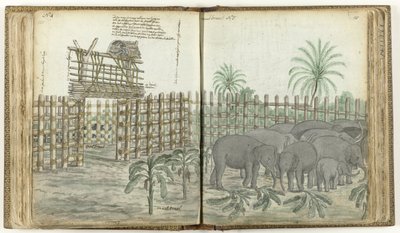 Elephant Play and Grinding Corral by Jan Brandes