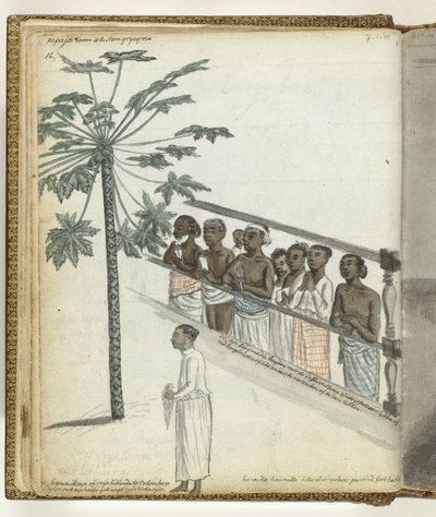 Papaya Tree, Litigants at the Dessave and a 