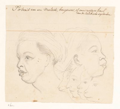 Portrait of a Buginese by Jan Brandes