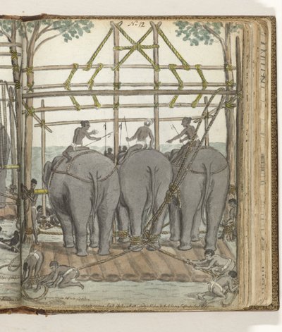 Taming a Wild Elephant in the Temporary Stable, Rear View by Jan Brandes