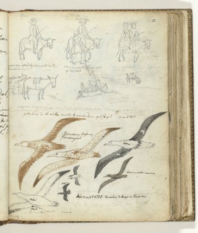Story of Man and Donkey. Seabirds by Jan Brandes