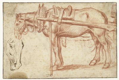 Horse in Front of a Cart and a Horse