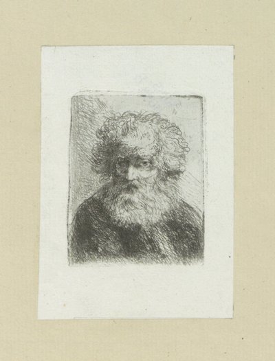 Bearded Old Man (The Compleat Work of Etchings by John Chalon) by Jan Chalon