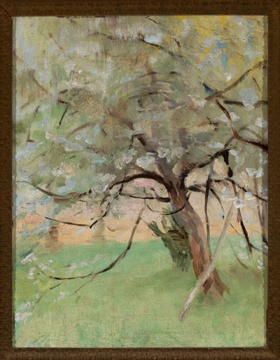 Apple Tree by Jan Ciągliński