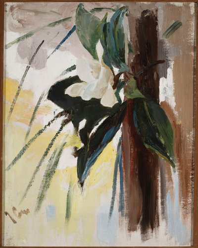 Magnolia by Jan Ciągliński