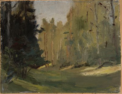 Mariino - Forest Clearing by Jan Ciągliński