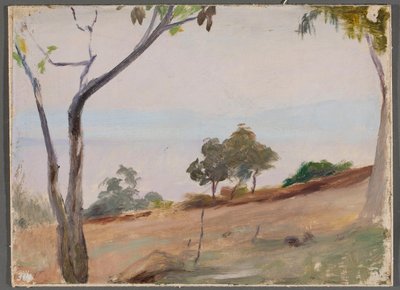 Landscape with Trees. From a Journey to Constantinople by Jan Ciągliński