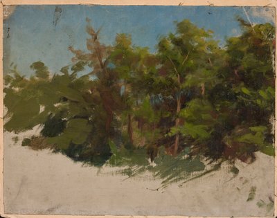 Study from Podolia by Jan Ciągliński