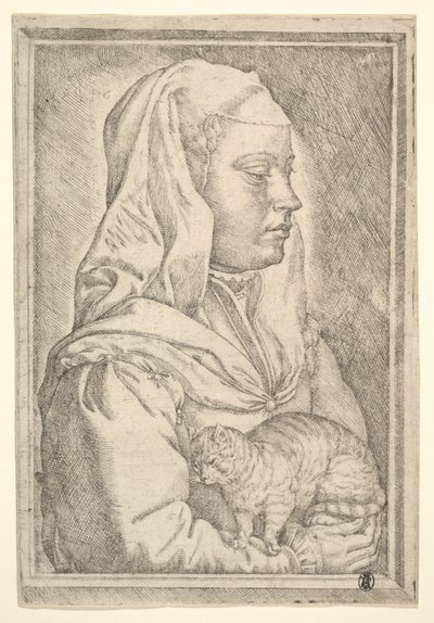 Girl with a Cat, 1546 by Jan Cornelisz Vermeyen