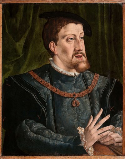 Portrait of the Emperor Charles V 1500-1558 by Jan Cornelisz. Vermeyen