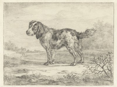Spaniel Standing in a Landscape by Jan Dasveldt