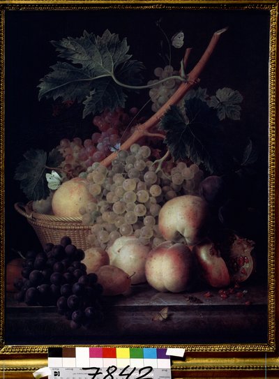 Fruits by Jan Frans van Dael