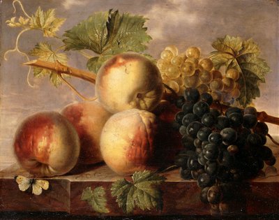Peaches and Grapes with a Cabbage White on a Marble Ledge by Jan Frans van Dael