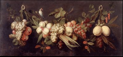 Still Life with Fruit and a Bird by Jan Frans van Son