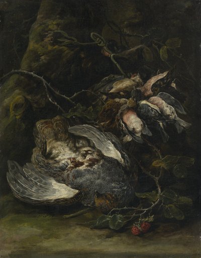 A Partridge and Small Game Birds by Jan Fyt