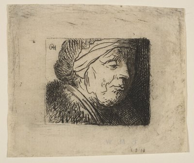 Head of an Old Woman by Jan Georg van Vliet