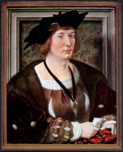 Portrait of Hendrik III, Count of Nassau-Breda, c1516-1517 by Jan Gossaert