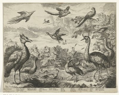 Various Birds in a Landscape by Jan Griffier (I) (copy after)